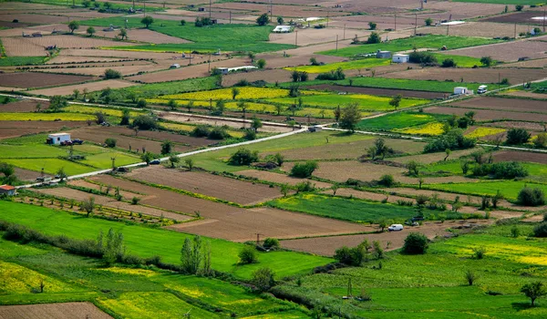 Featured Image of About Sattva Ekatra